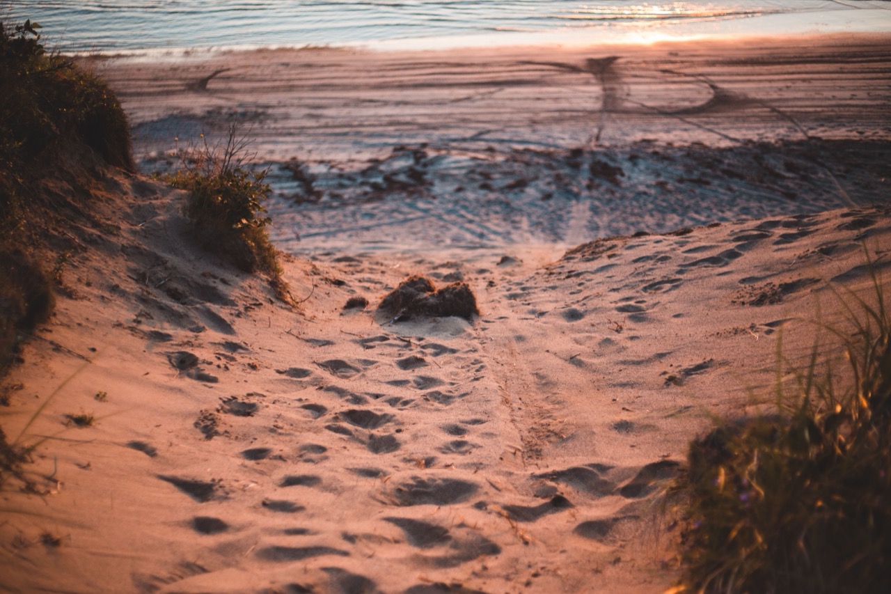 A sandy footpath crossing the dunes toward the beach in warm evening light